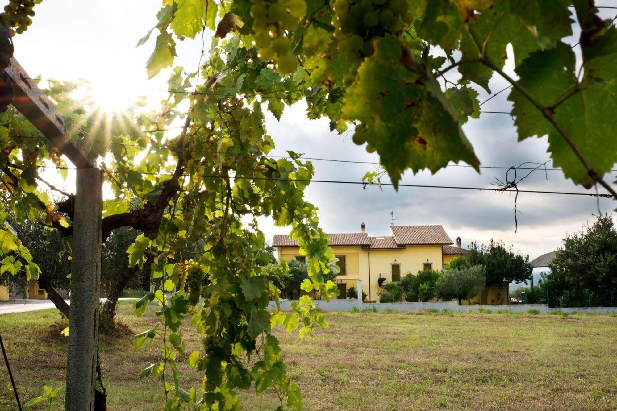 Agriturismo Il Casolare Di Nonno Mario Manoppello Extérieur photo